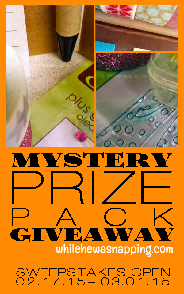 Mystery Prize Pack Giveaway While He Was Napping