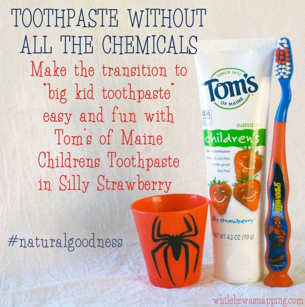 Natural Goodness Toothpaste Without All the Chemicals While He Was Napping