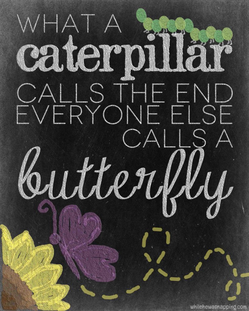 Everyone else calls a butterfly