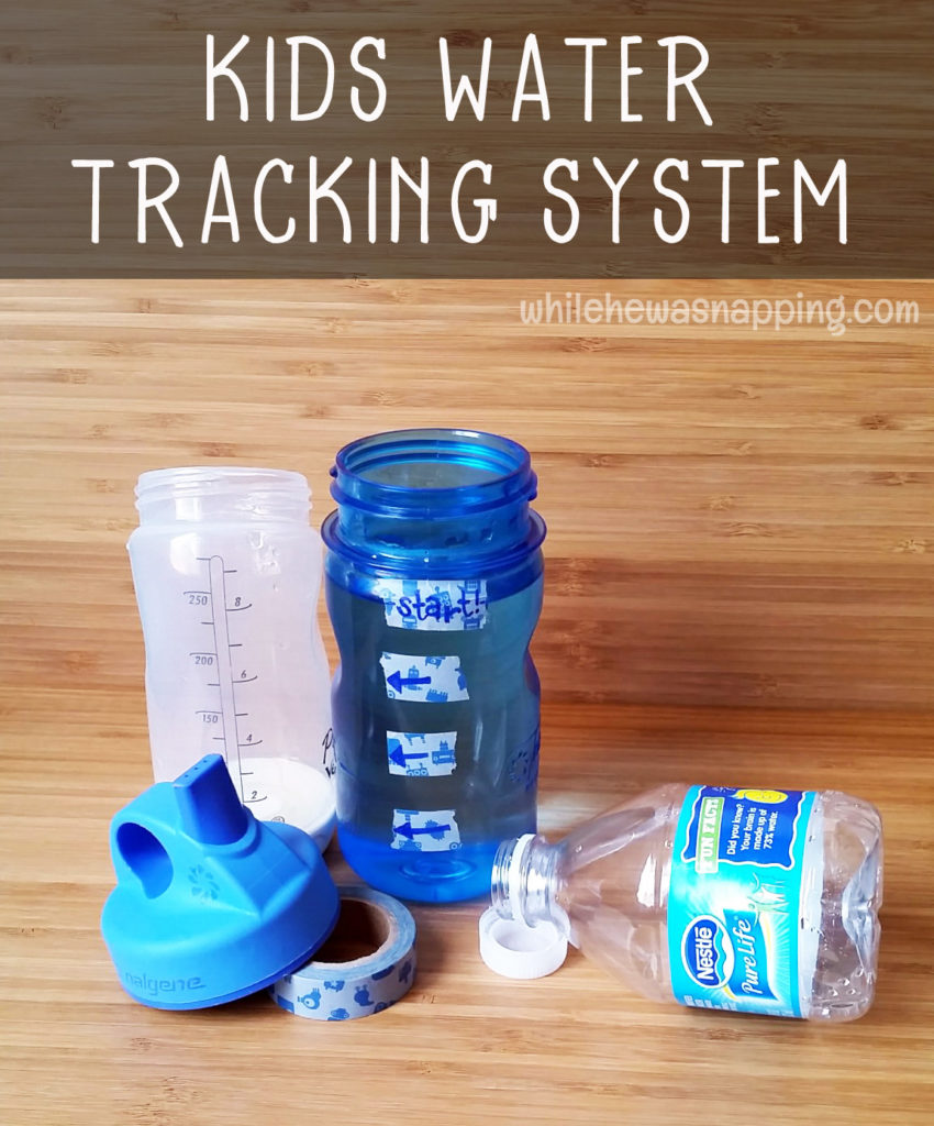 Staying Hydrated Nestle Pure Life Water Tracking System Vertical